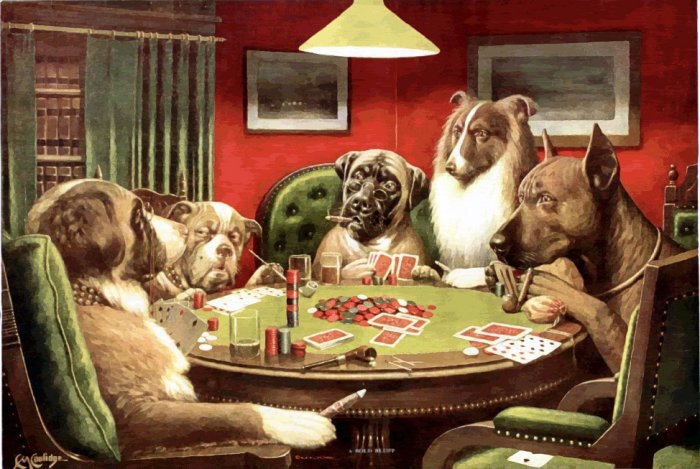 Dogs Canines Poker Cards Humo