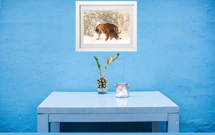Animal Framed Prints
