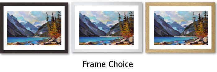Frame Choice