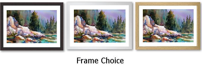 Frame Choice