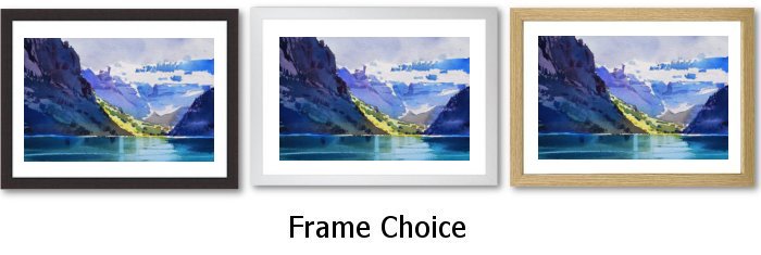 Frame Choice