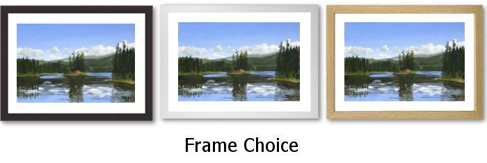 Frame Choice