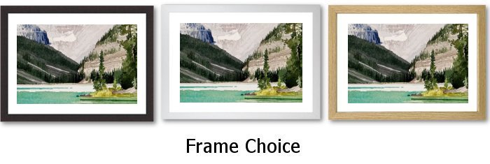 Frame Choice