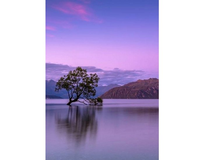 Wanaka New Zealand Framed Print