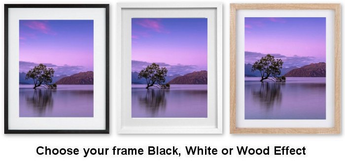 Wanaka New Zealand Framed Print