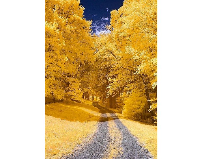 Massachusetts In The Fall