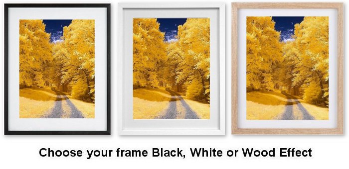 Massachusetts In The Fall Framed Print