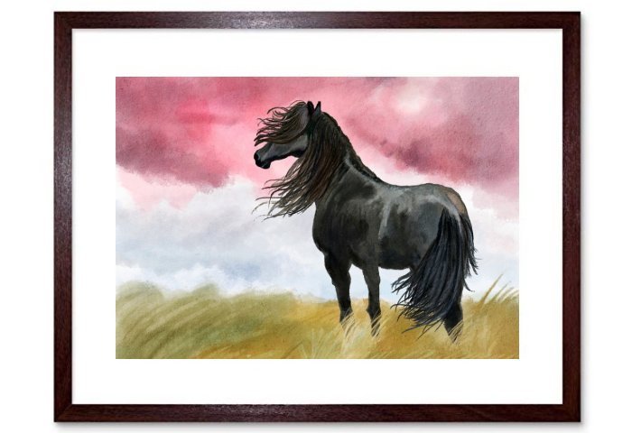 Illustration Horse Meadow Black Wind Animal Proud