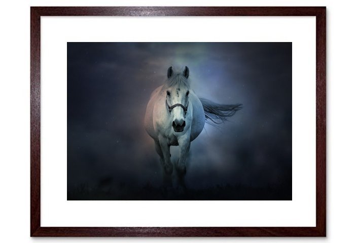 Fantasy Horse Animals Mystic Magic 