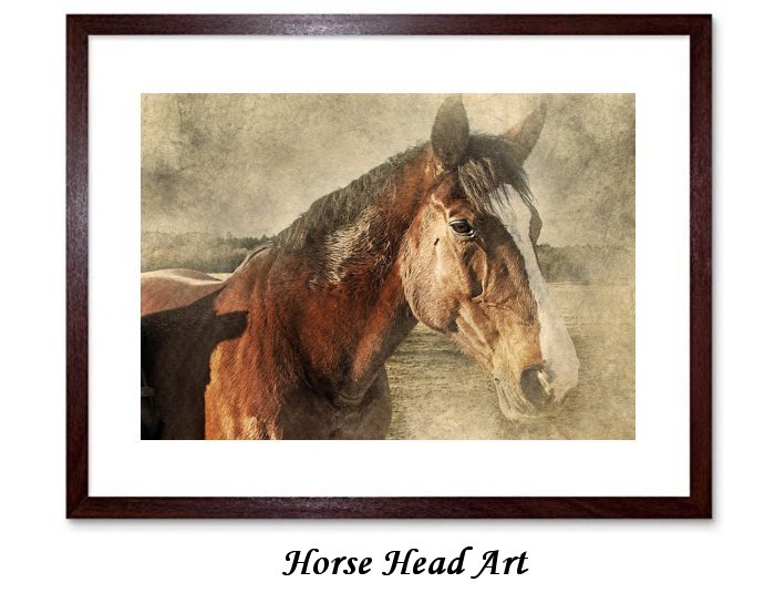 Horse Head Art