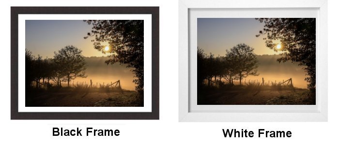 Frame Choice