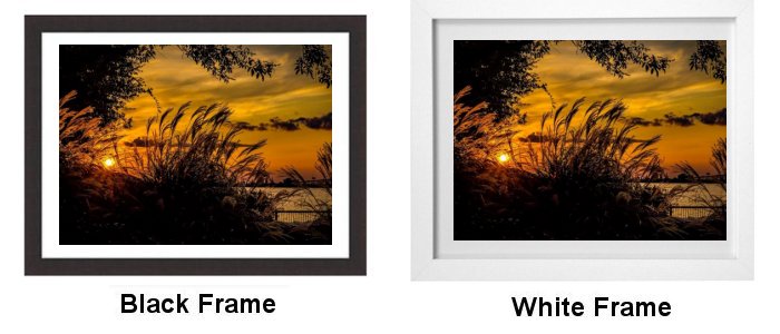 Frame Choice