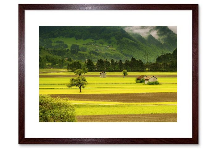 Landscape Meadow Field Switzerland Nature Green 