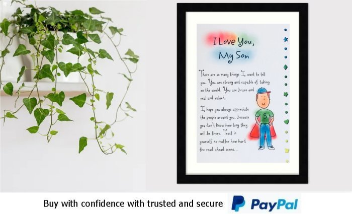 Son Message Framed Print