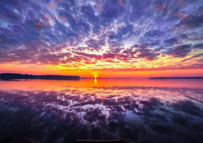 Shades Of Skies