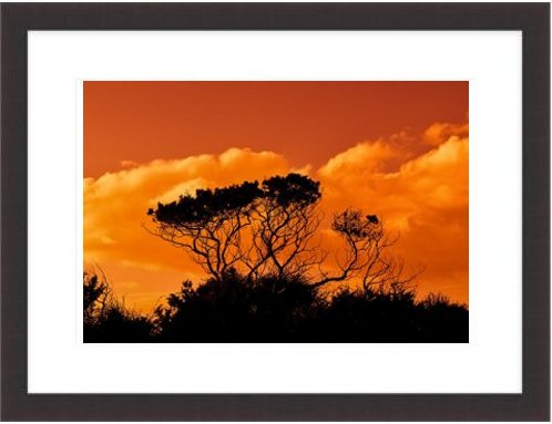 Trees Sunset Framed Print