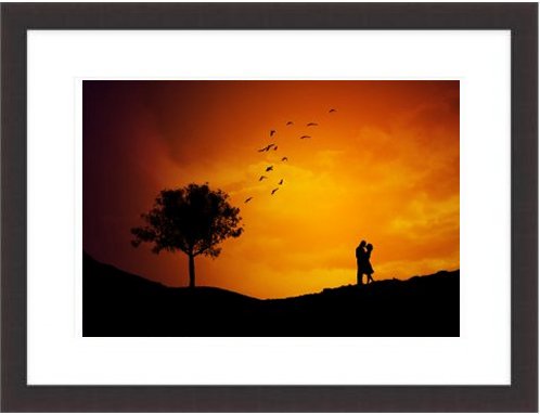 Sunset Love Birds Framed Print